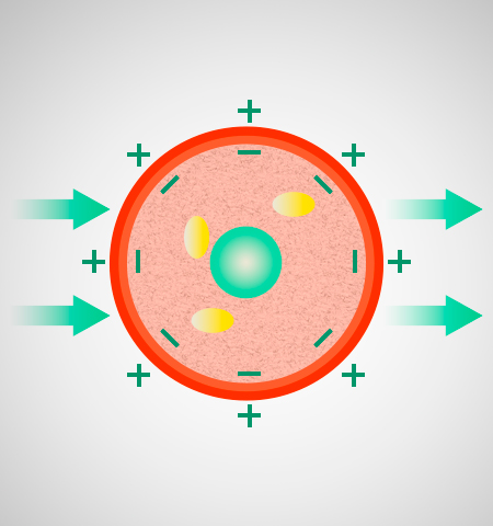 Step 2 Visualization